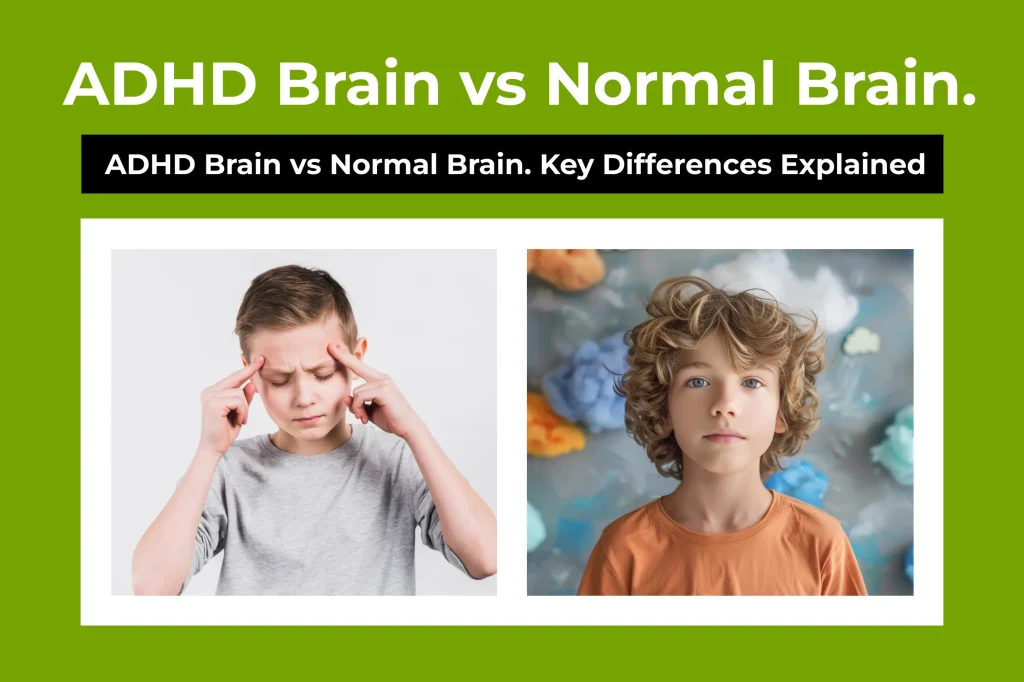 ADHD Brain vs Normal Brain. Key Differences Explained